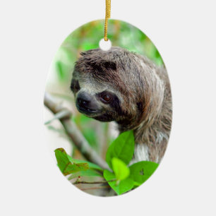 Décoration En Céramique Sloth in tree Nicaragua