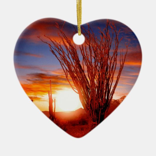 Décoration En Céramique Sonora Arizona d'Ocotillo de déserts (Devant)