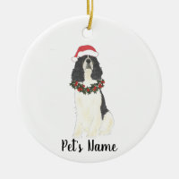 Spaniel anglais tricolore Noël