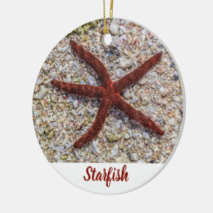Décoration En Céramique Starfish Ocean Plage Vintage Souvenir rétro