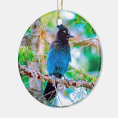 Décoration En Céramique Steller's Jay - Photographie originale (Gauche)