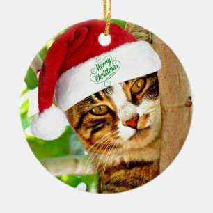Décoration En Céramique Tabby de Noël dans un arbre