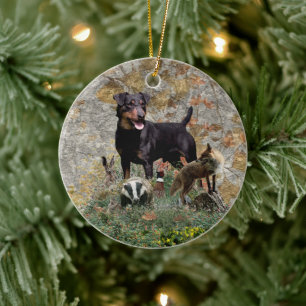 Décoration En Céramique Tapisserie Jagdterrier