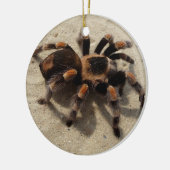 Décoration En Céramique Tarantula brachypelma rouge genou toxique (Gauche)