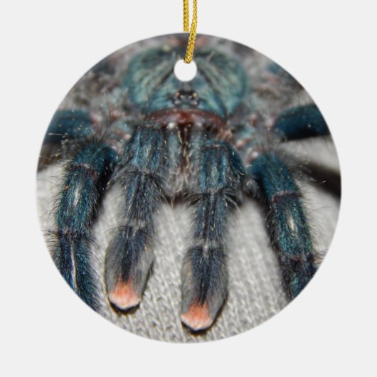 Décoration En Céramique tarantule bleue (Devant)