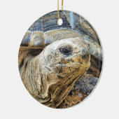 DÉCORATION EN CÉRAMIQUE TORTOISE (Gauche)