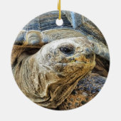 DÉCORATION EN CÉRAMIQUE TORTOISE (Dos)