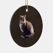Décoration En Céramique Tortoiseshell (Droite)