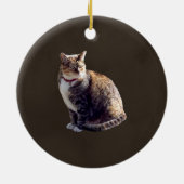 Décoration En Céramique Tortoiseshell (Dos)