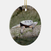 Décoration En Céramique Tortue (Droite)