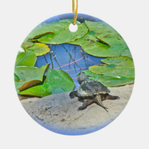 Décoration En Céramique Tortue serpentine - Chelydra serpentina