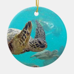 Décoration En Céramique Tortues d'Hawaï