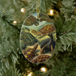 Décoration En Céramique Tortues et tortues terrestres vintage par Ernst Ha