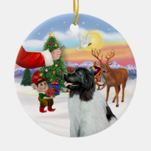 Décoration En Céramique Traite pour un Landseer Terre-Neuve