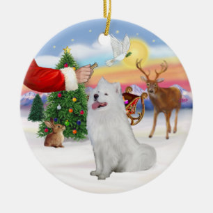 Décoration En Céramique Traitement pour un Samoyed (#1)