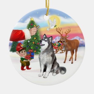 Décoration En Céramique Traiter un malamute en Alaska