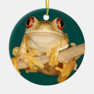 Décoration En Céramique Tree Frog