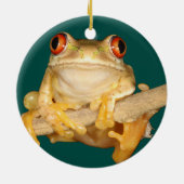 Décoration En Céramique Tree Frog (Dos)