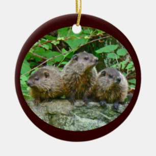 Décoration En Céramique Trois bébé Groundhogs