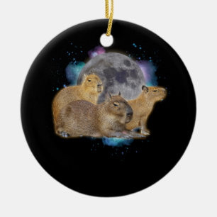 Décoration En Céramique Trois Capybaras Lune Drôle Mème Capybara Mystique