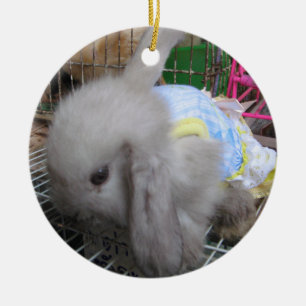 Décoration En Céramique Un lapin en robe