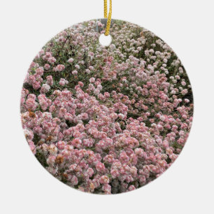 Décoration En Céramique Une Californie en fleurs : sarrasin de Sea Cliff