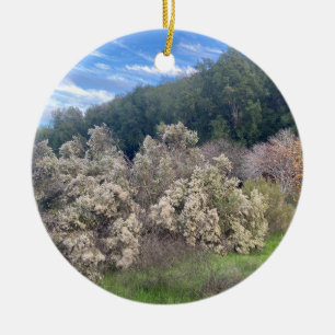 Décoration En Céramique Une Californie florissante : un Cele californien f