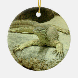 Décoration En Céramique Varanus gouldii