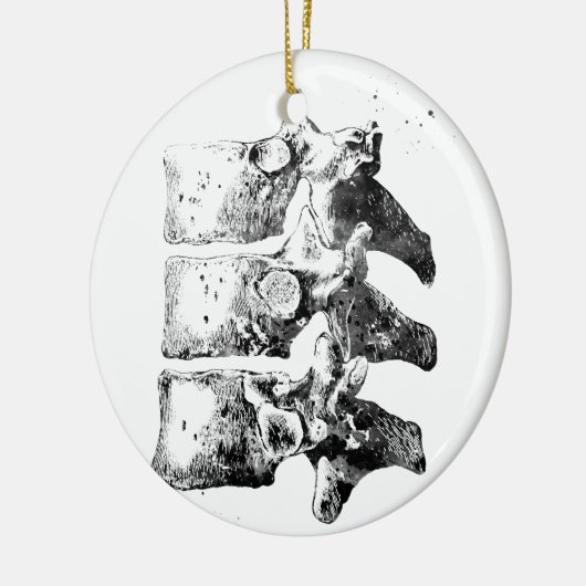 Décoration En Céramique Vertèbre thoracique (Gauche)