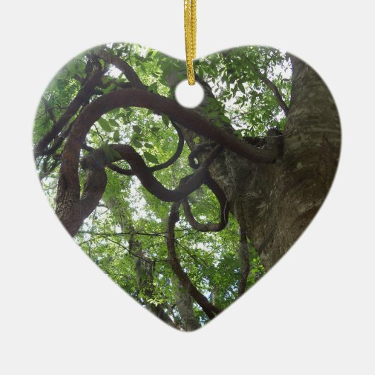 Décoration En Céramique vieilles vignes enchevêtrées dans l'arbre (Devant)