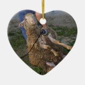 Décoration En Céramique Vis du mouton (Devant)