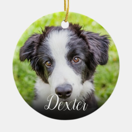 Décoration En Céramique Votre photo de mémorial d'animal de compagnie préf (Devant)