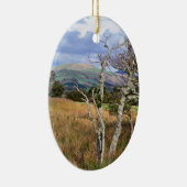 DÉCORATION EN CÉRAMIQUE VUES DES ALLES (Droite)