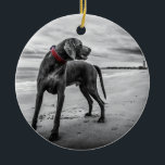 Décoration En Céramique Weimaraner on Beach B&W Photo w/ Red Collar<br><div class="desc">Alors, quoi ? Where is master ? Est-ce qu'il y a un storm rolling in ? The Photo in black and white, yet the Weimaraner's collar is red. This picture has si many awesome element in it. On the back of the ornament is the word, "Christmas" et "2018" You may...</div>