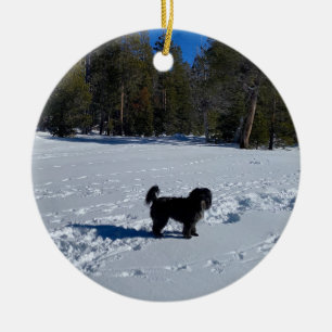Décoration En Céramique World2Celebrate : Tahoe Snow Dog
