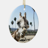 Décoration En Céramique Zoo de San Diego (Droite)