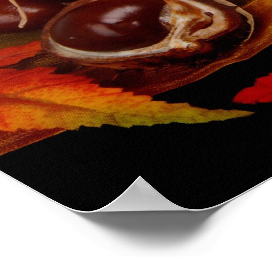 Décoration Halloween (Coin)