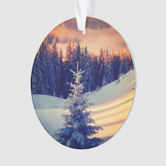 Décoration sapin de noël  (devant)