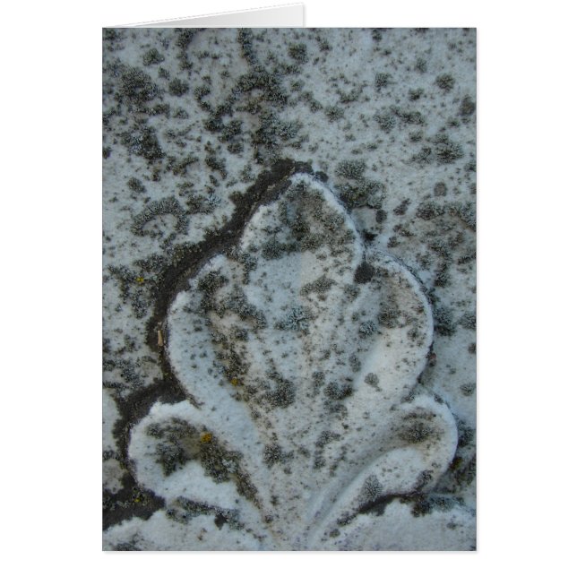 Décoration Vielle Pierre Tombée, Vide À L'Intérieu (Devant)