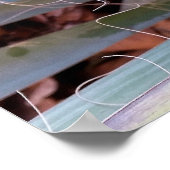 décorations de la nature (Coin)