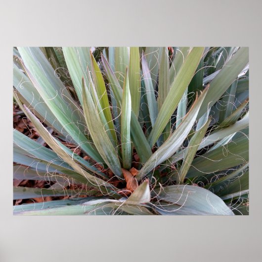 décorations de la nature (Devant)