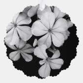 Décorative Conception de carte postale noir et blanc (Verso)