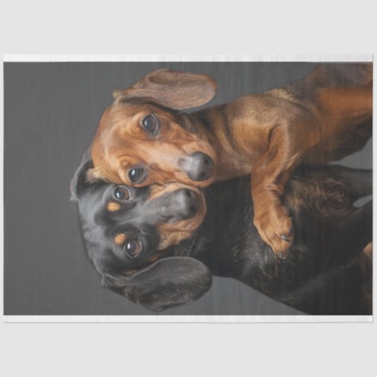 Decoupage 2 Dachshund Honden knuffelen Tissuepapier (Voorkant)