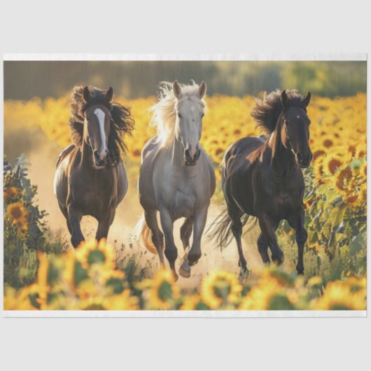 Decoupage 3 Paarden Loopveld Zonnebloemen Tissuepapier (Voorkant)