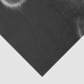 Decoupage 3 Raccoons Peeking Out Barn Door Tissuepapier (Detail)