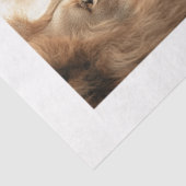 Decoupage 4 Lions Papers Fits 8 x 10 Canvas Tissuepapier (Detail)