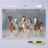 Decoupage 5 Pinto Galloping Sneeuw Overdekt Veld Tissuepapier (Craft)