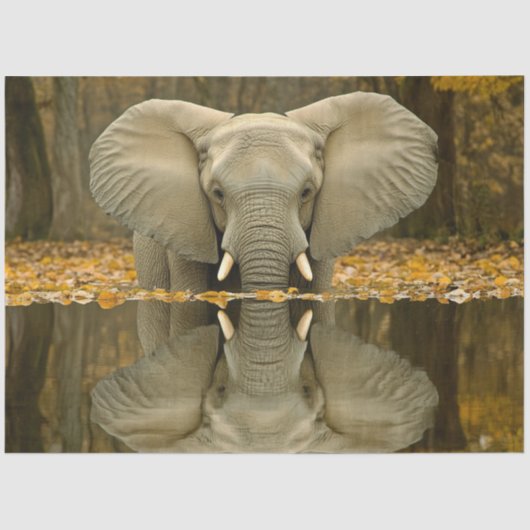Decoupage Afrikaanse olifant wildlife digitale kun Tissuepapier (Voorkant)