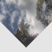 Decoupage Angel Herfsten Waterval Venezuela Tissuepapier (Detail)