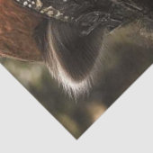 Decoupage Antropomorfe Wasbeer Robyn Hood Tissuepapier (Detail)